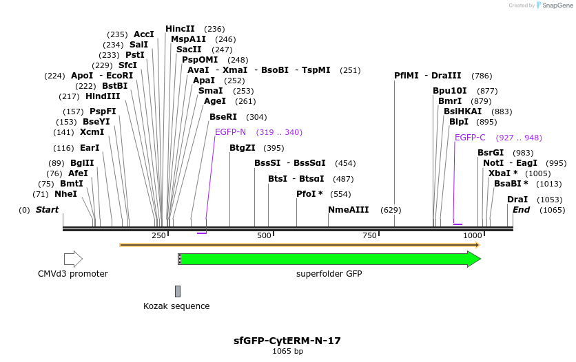87199_map
