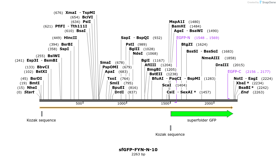 87200_map