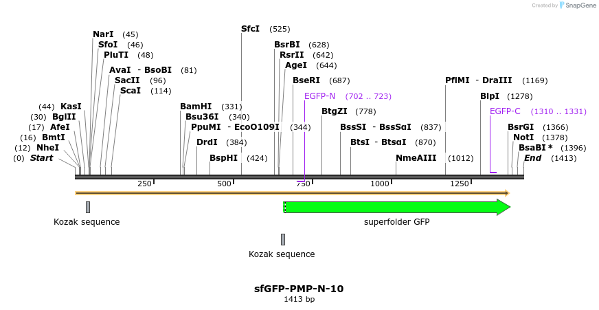 87201_map