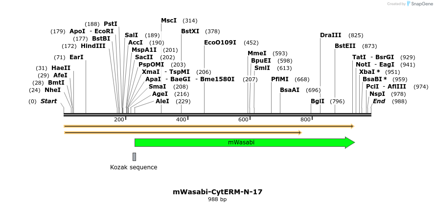87202_map