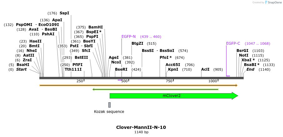 87207_map