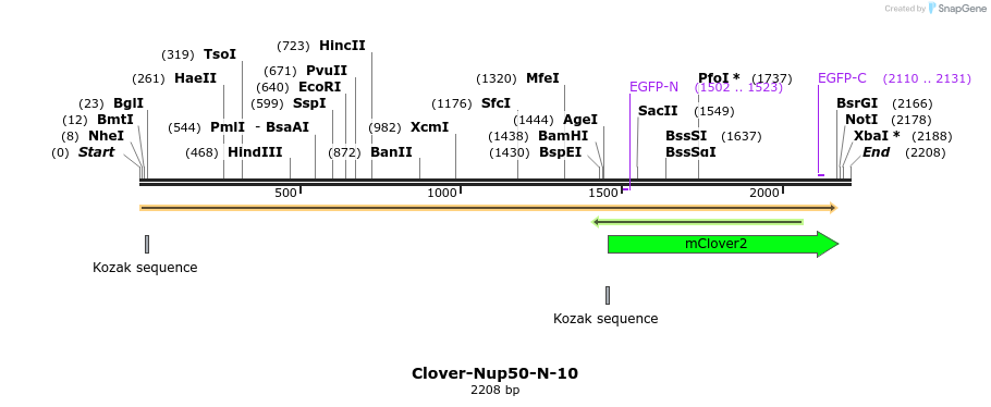 87208_map