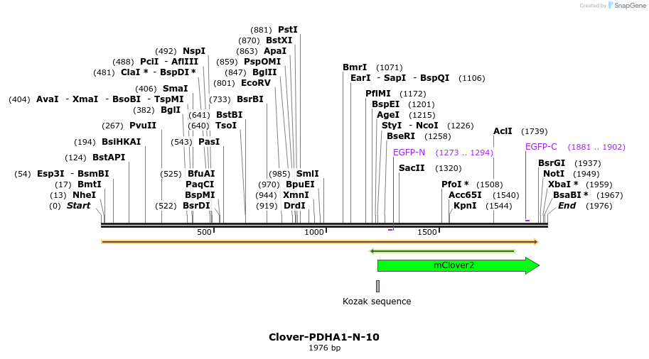 87209_map