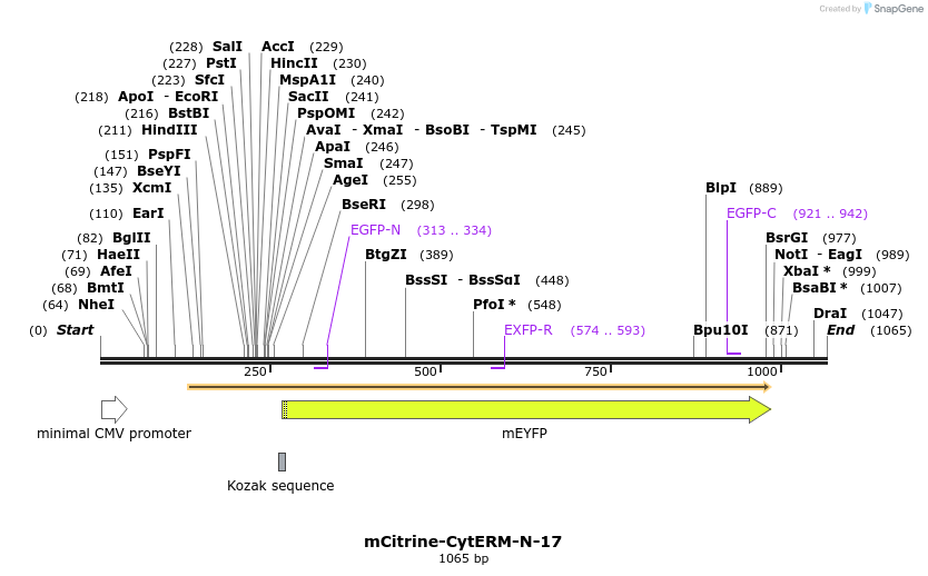 87217_map