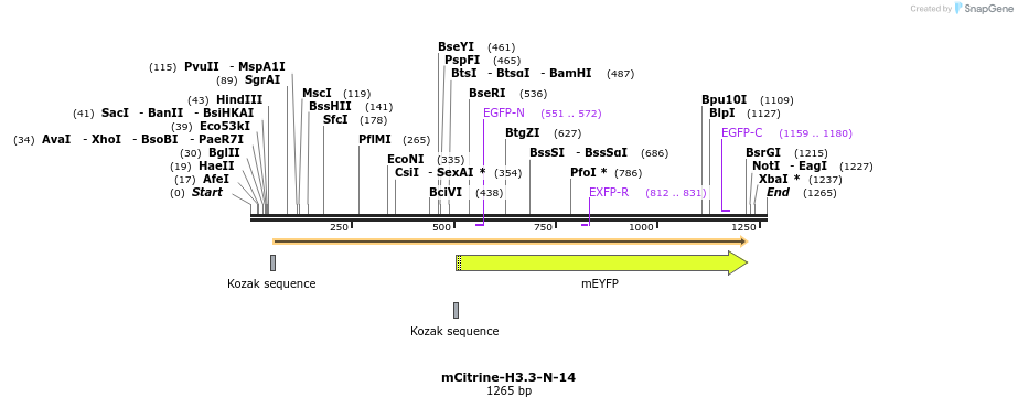 87218_map