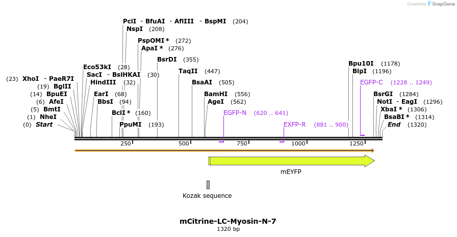 87219_map