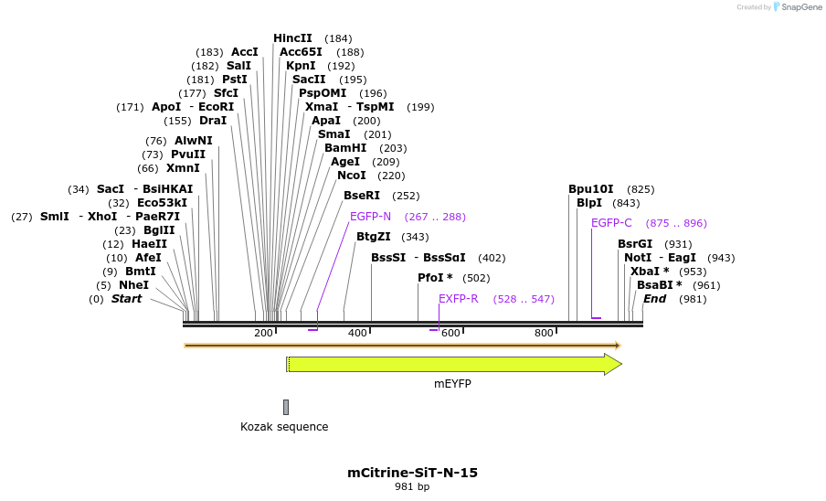 87220_map