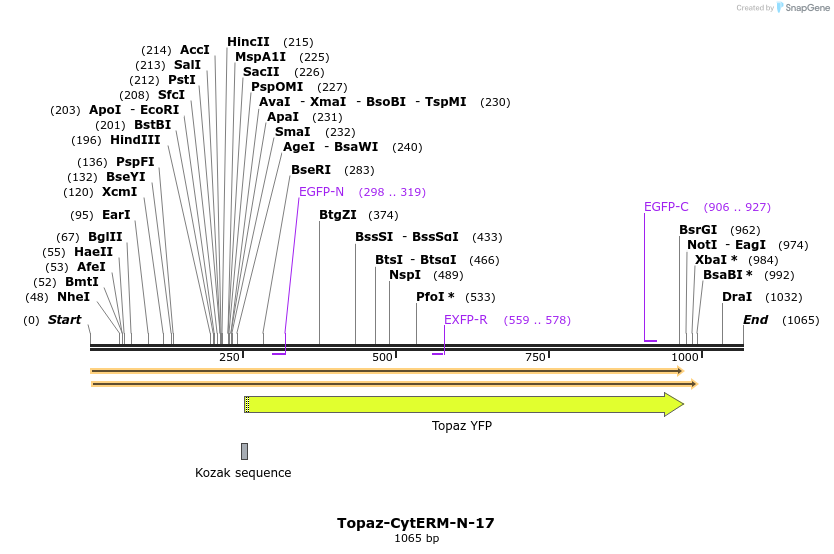 87222_map