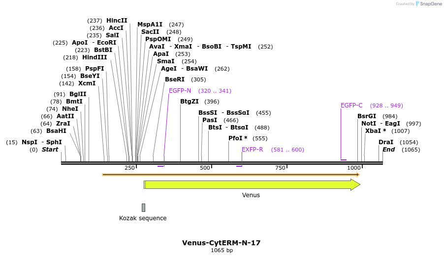 87223_map