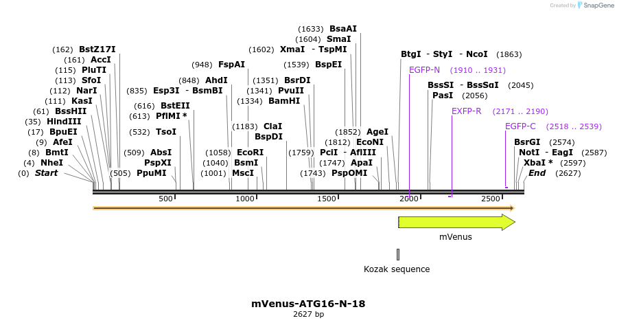 87224_map