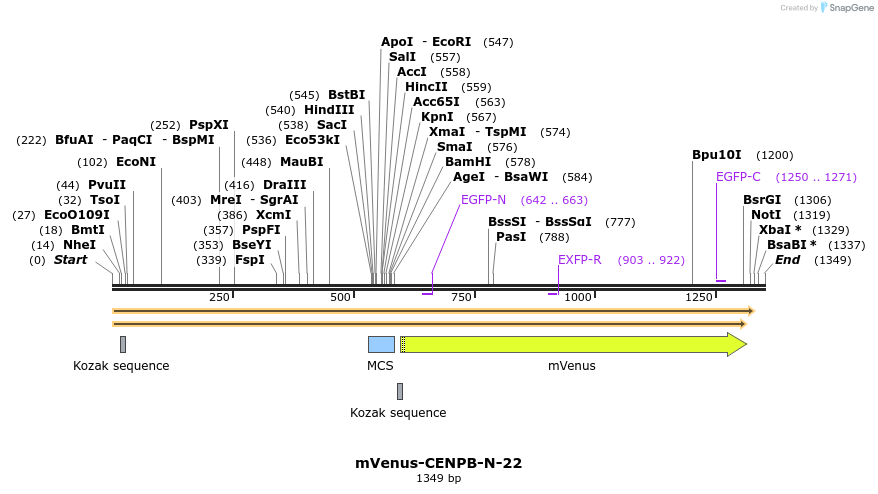 87226_map