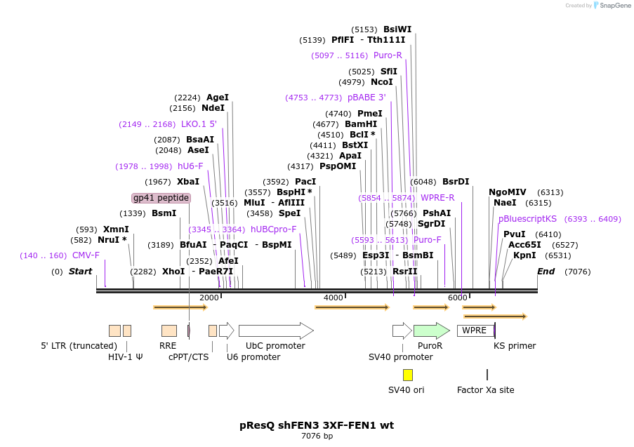 8723_map