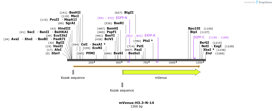 87230_map