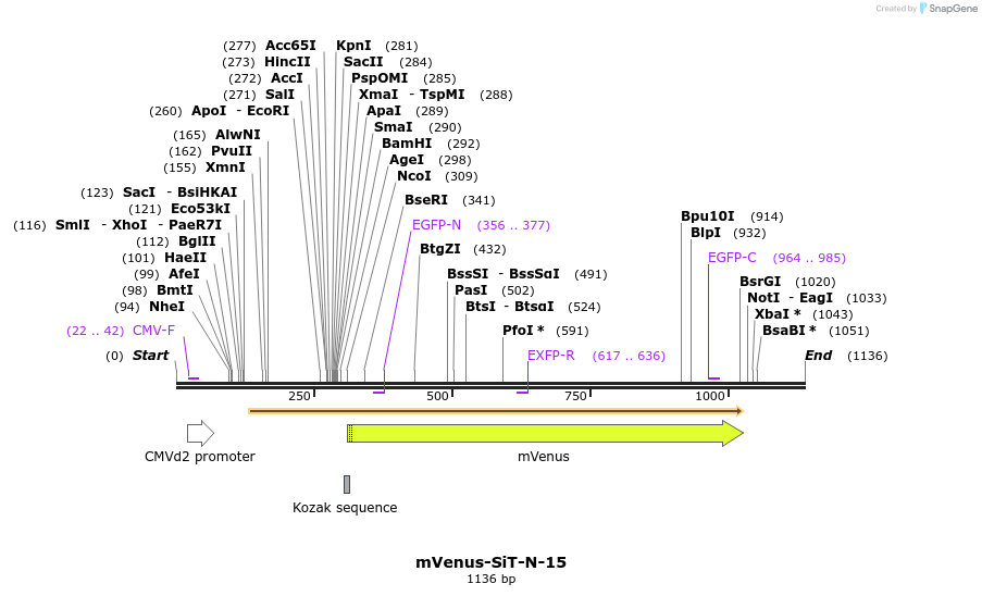 87237_map