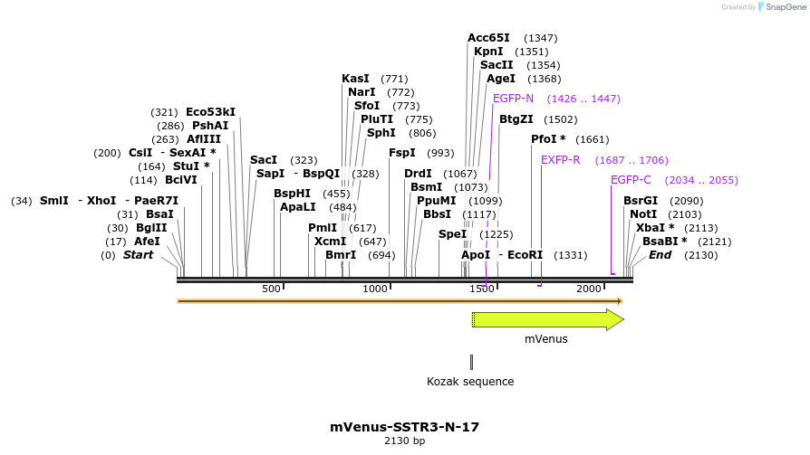 87238_map