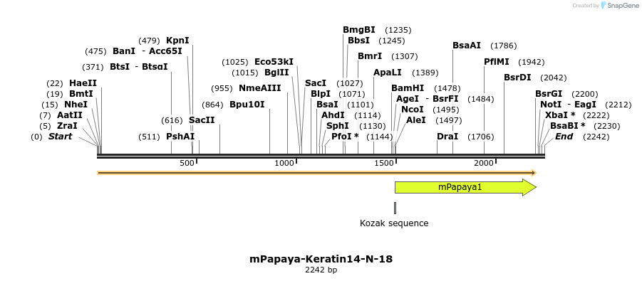 87246_map