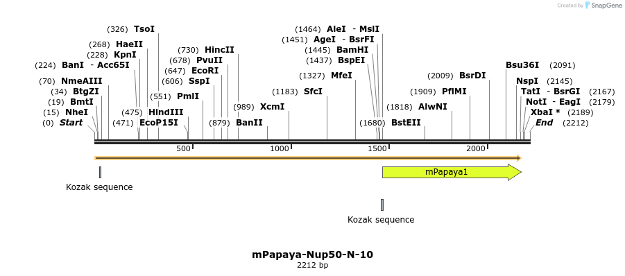 87248_map