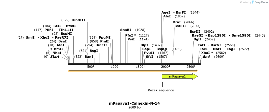 87250_map