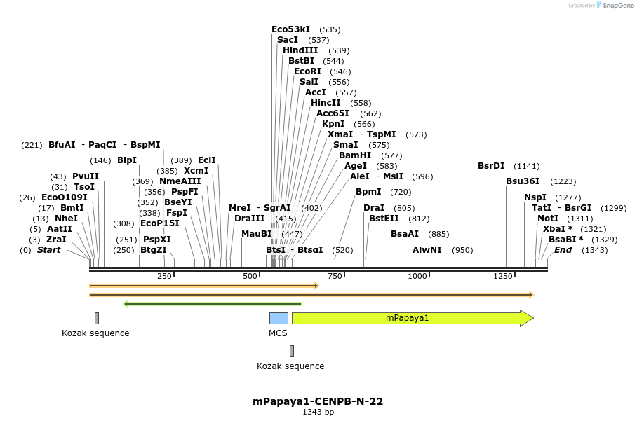87251_map