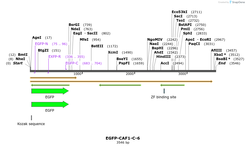 87258_map