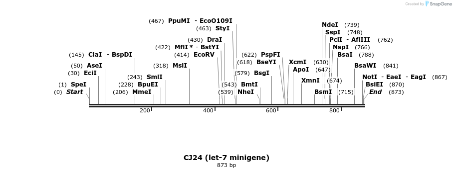 8726_map