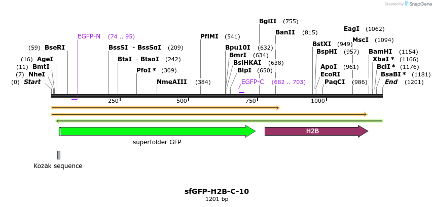 87263_map