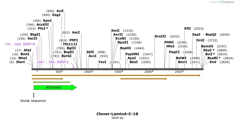 87266_map