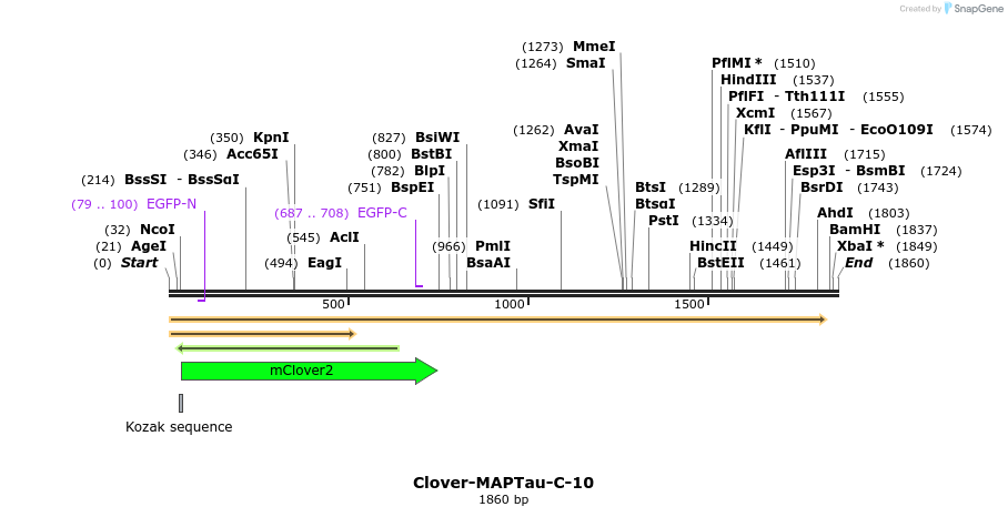 87267_map