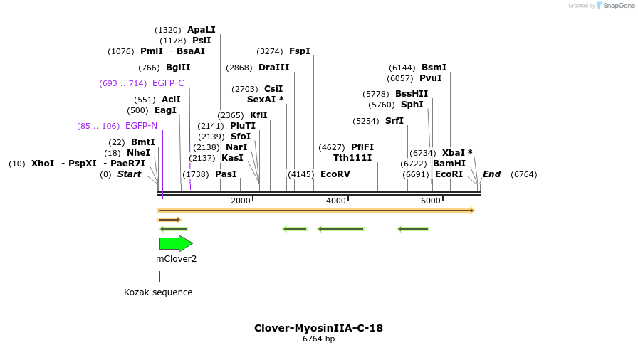 87268_map