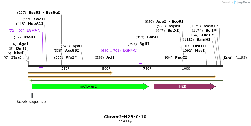 87273_map