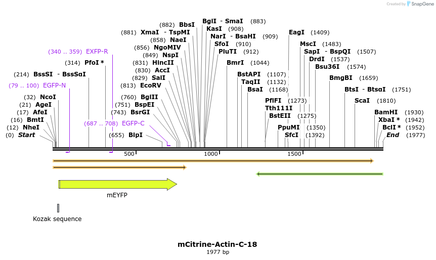87275_map