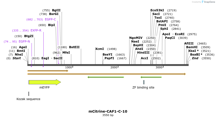 87276_map