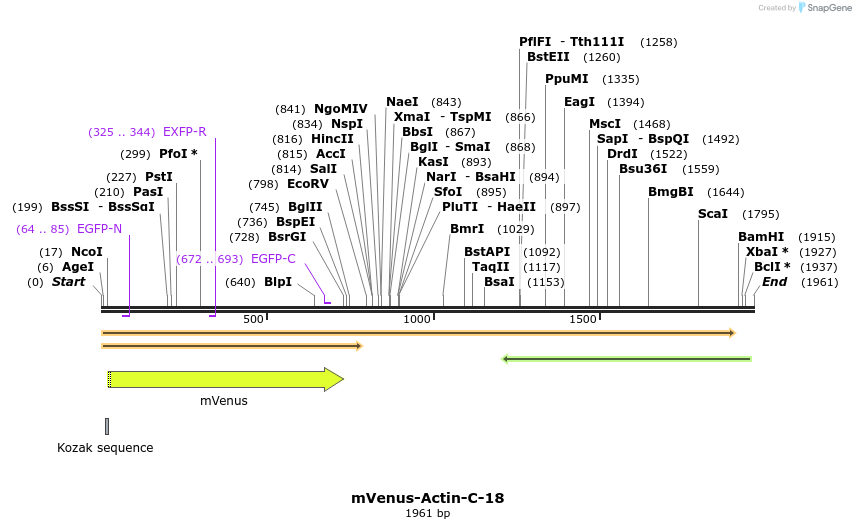 87278_map