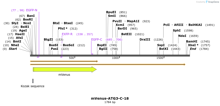 87279_map