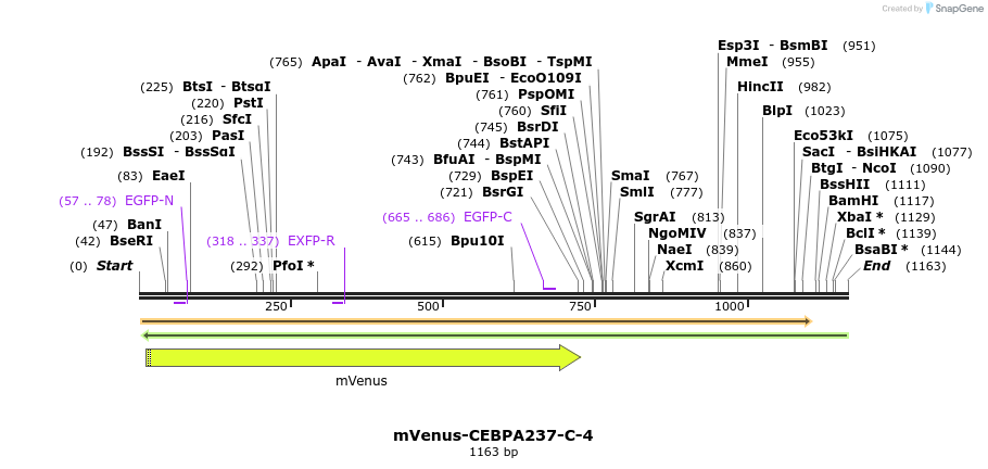 87281_map