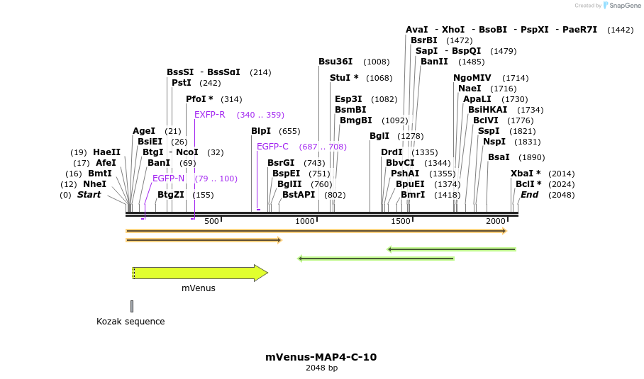 87283_map