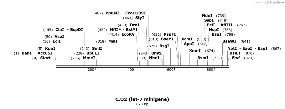 8729_map