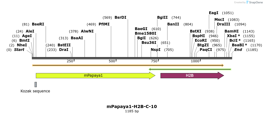 87295_map