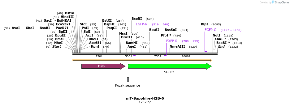 87297_map