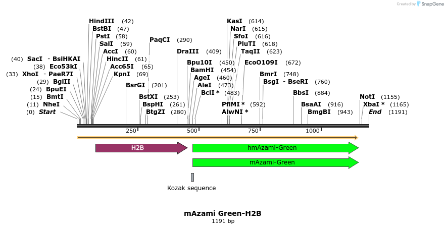 87298_map