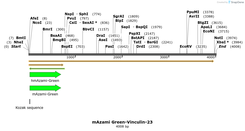 87299_map