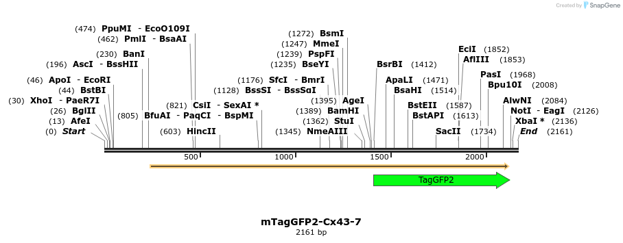 87307_map