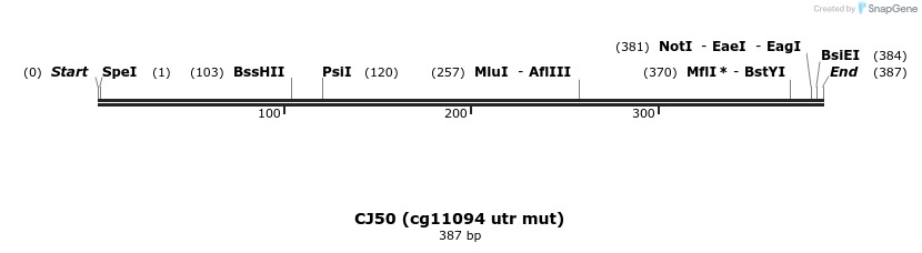 8731_map