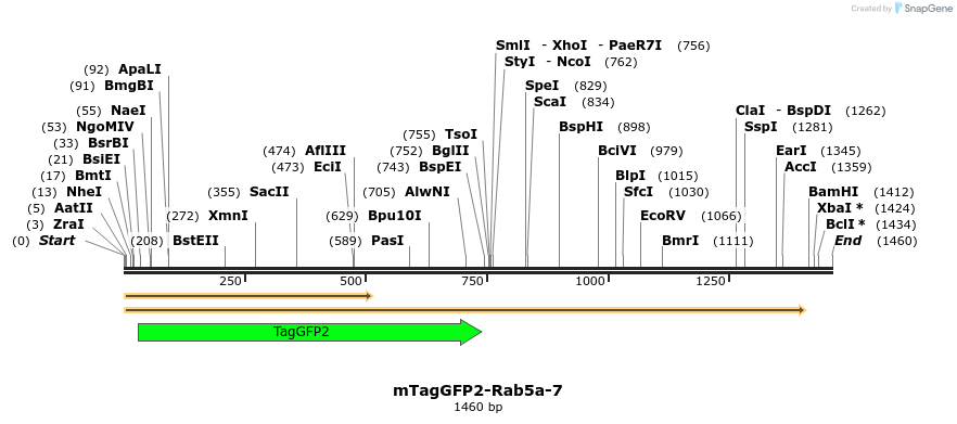 87310_map
