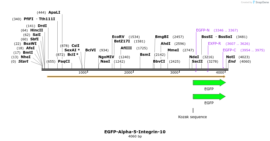 87315_map