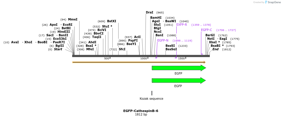 87317_map
