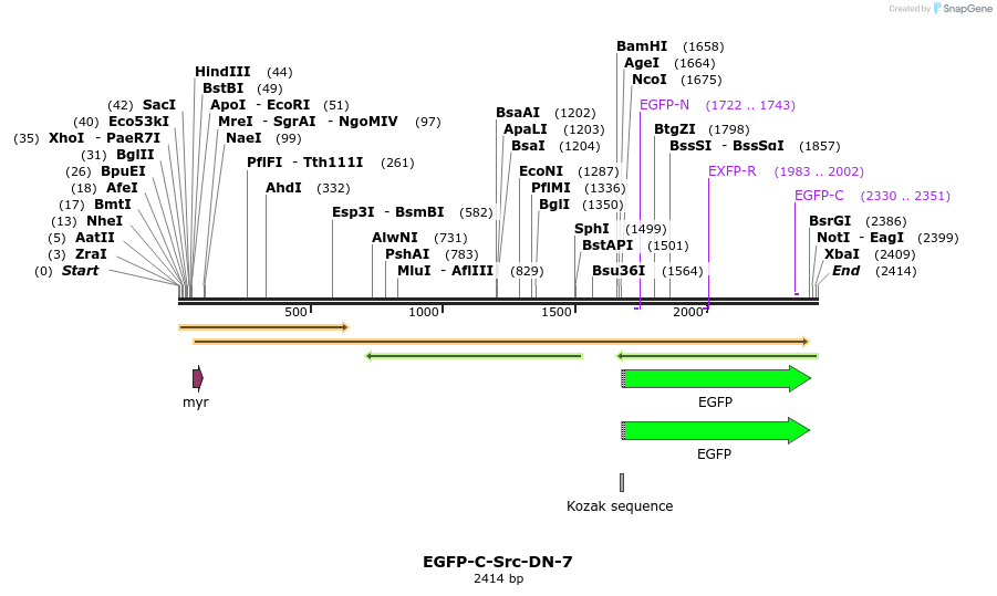 87319_map