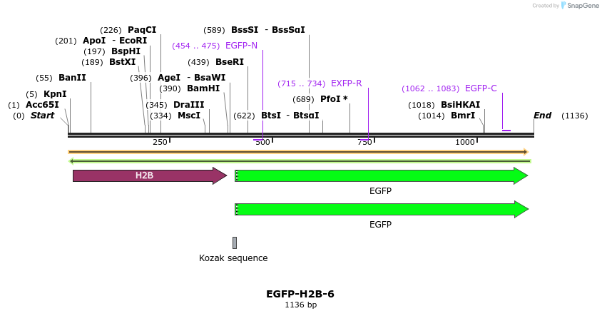 87328_map