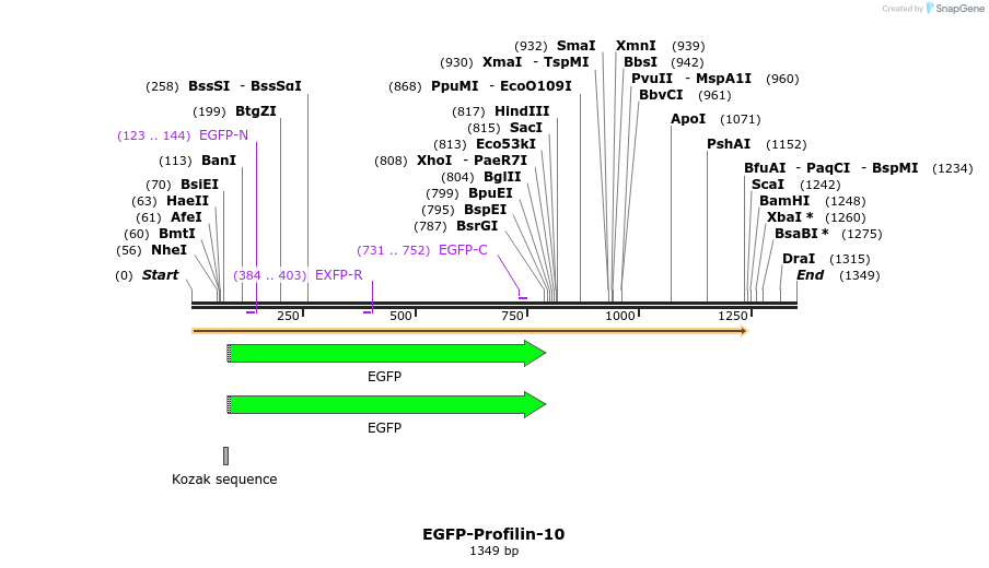 87330_map