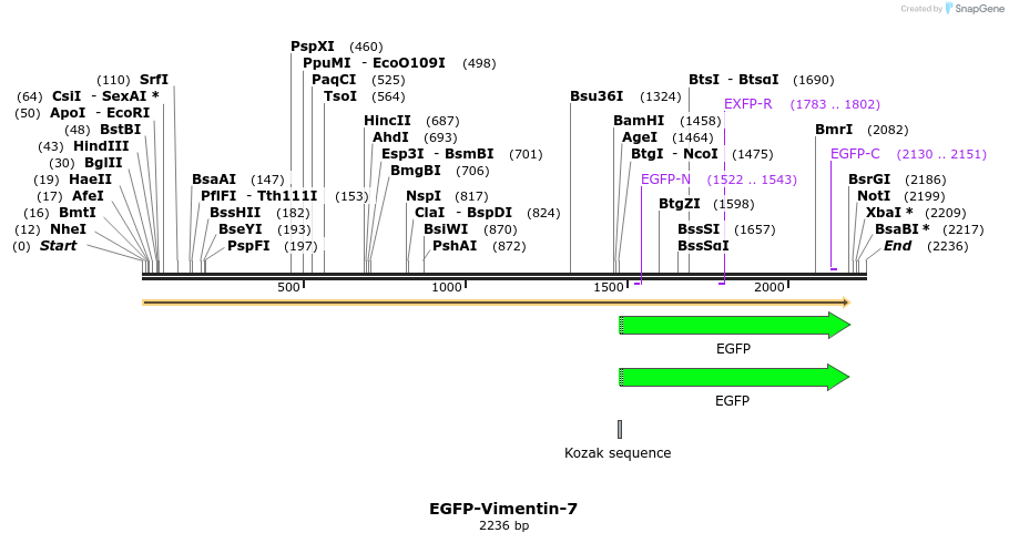 87331_map